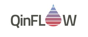 QinfFlow Logo
